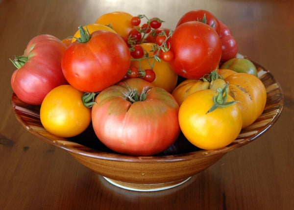 Bowl of Heirloom and Hybrid Tomatoes