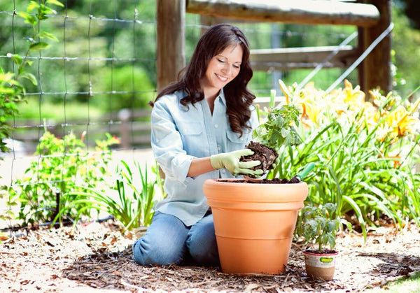 woman caring for vegetables in pot