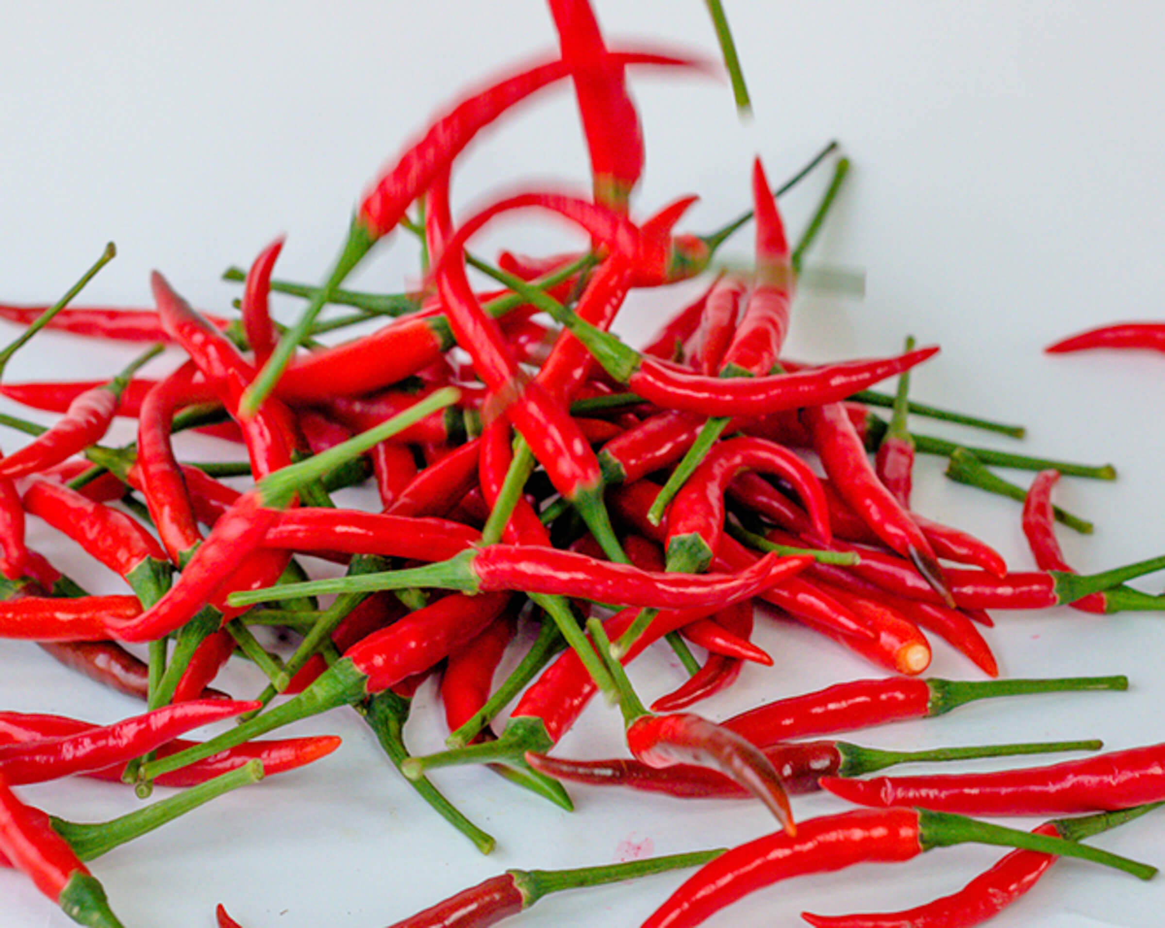 Hot, Hot, Hot Bonnie Plants