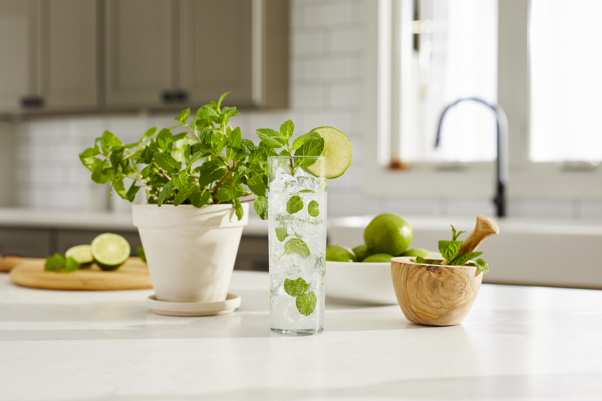 mojito mint plant seeds Mojito Mint (2 Pack) – Bonnie Plants