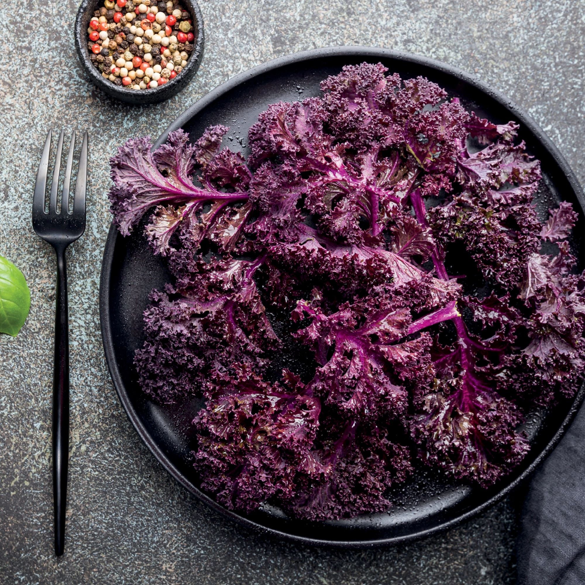 Purple Kale 2-Pack | Bonnie Plants