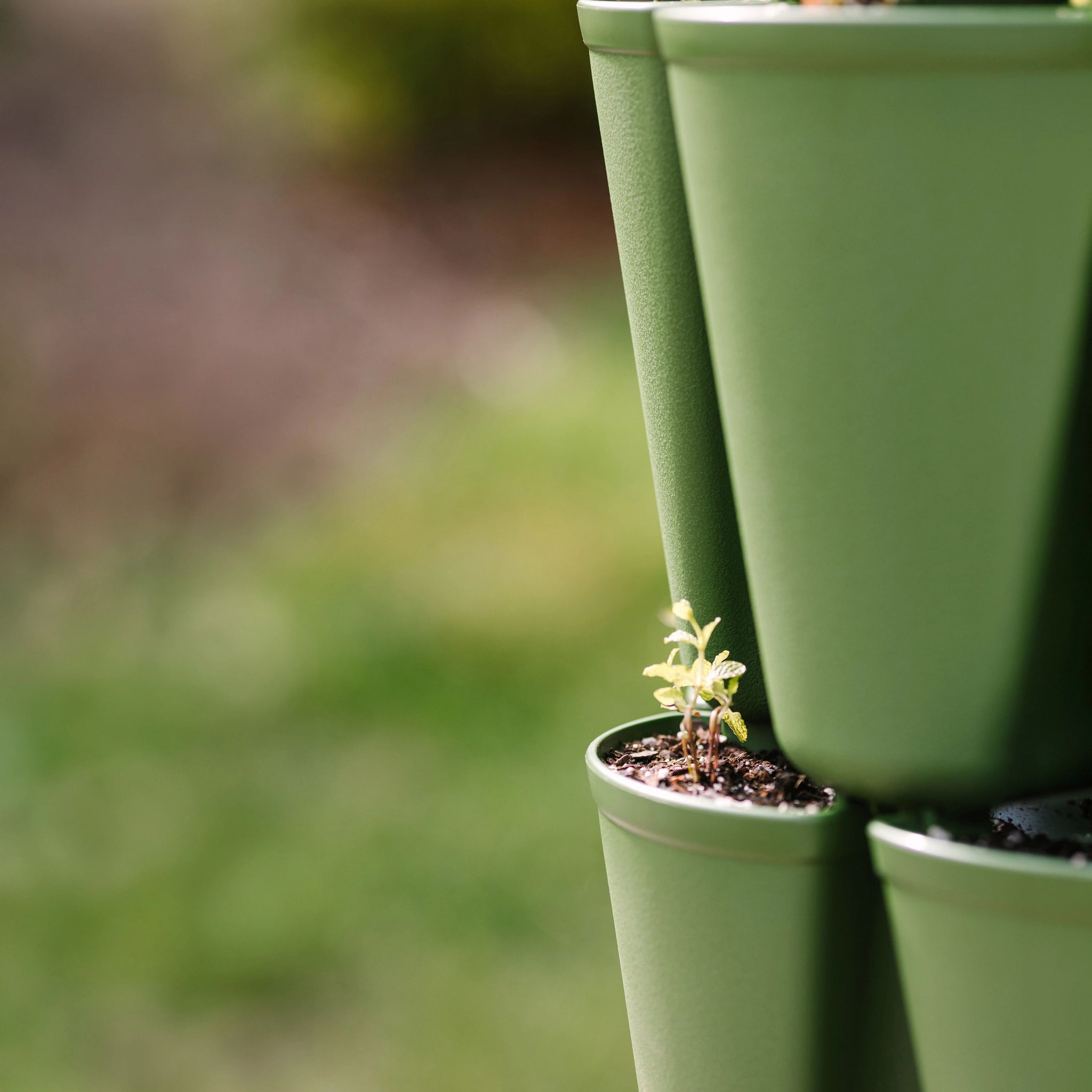 ever green potting plants Evergreen Basic All‑In‑One Planter Kit
