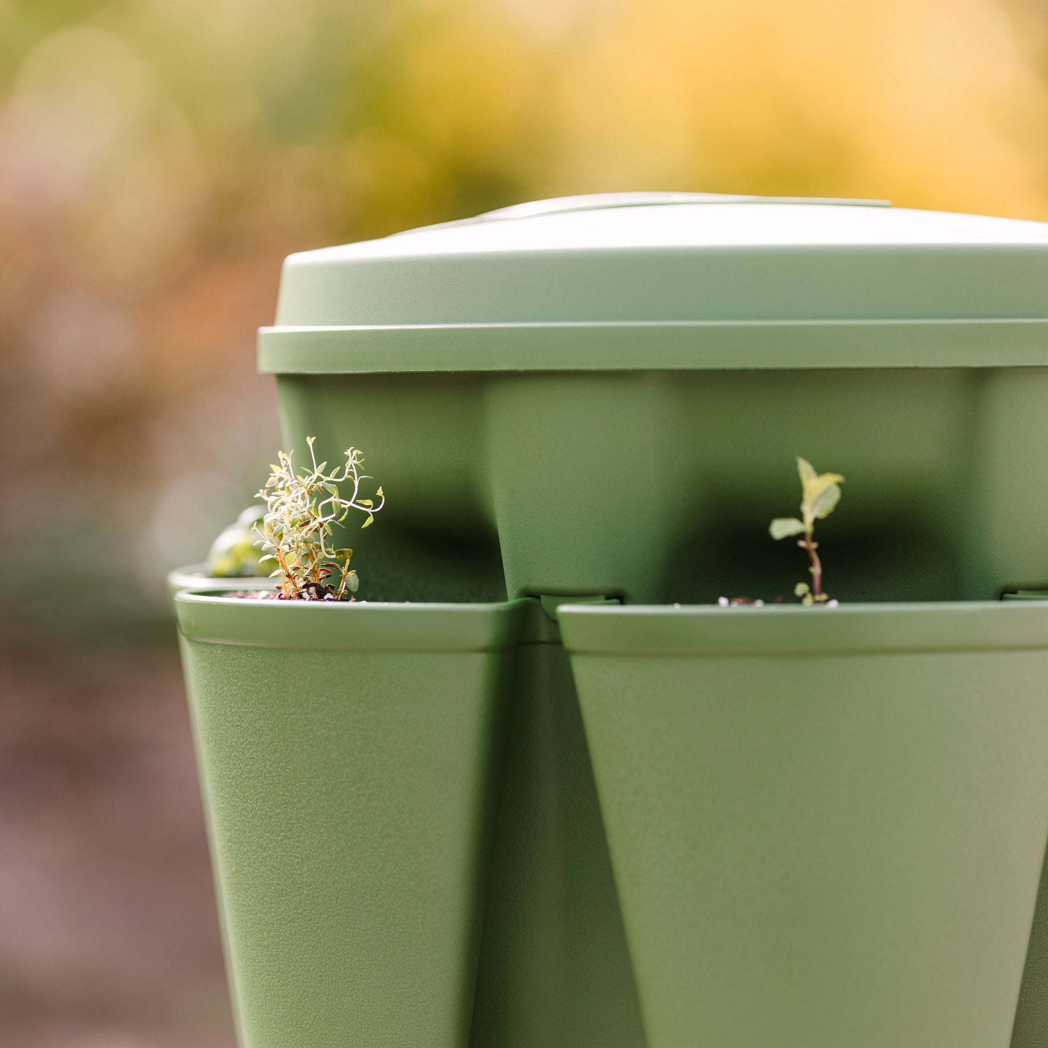 bonnie plants pots Evergreen Basic All‑In‑One Planter Kit