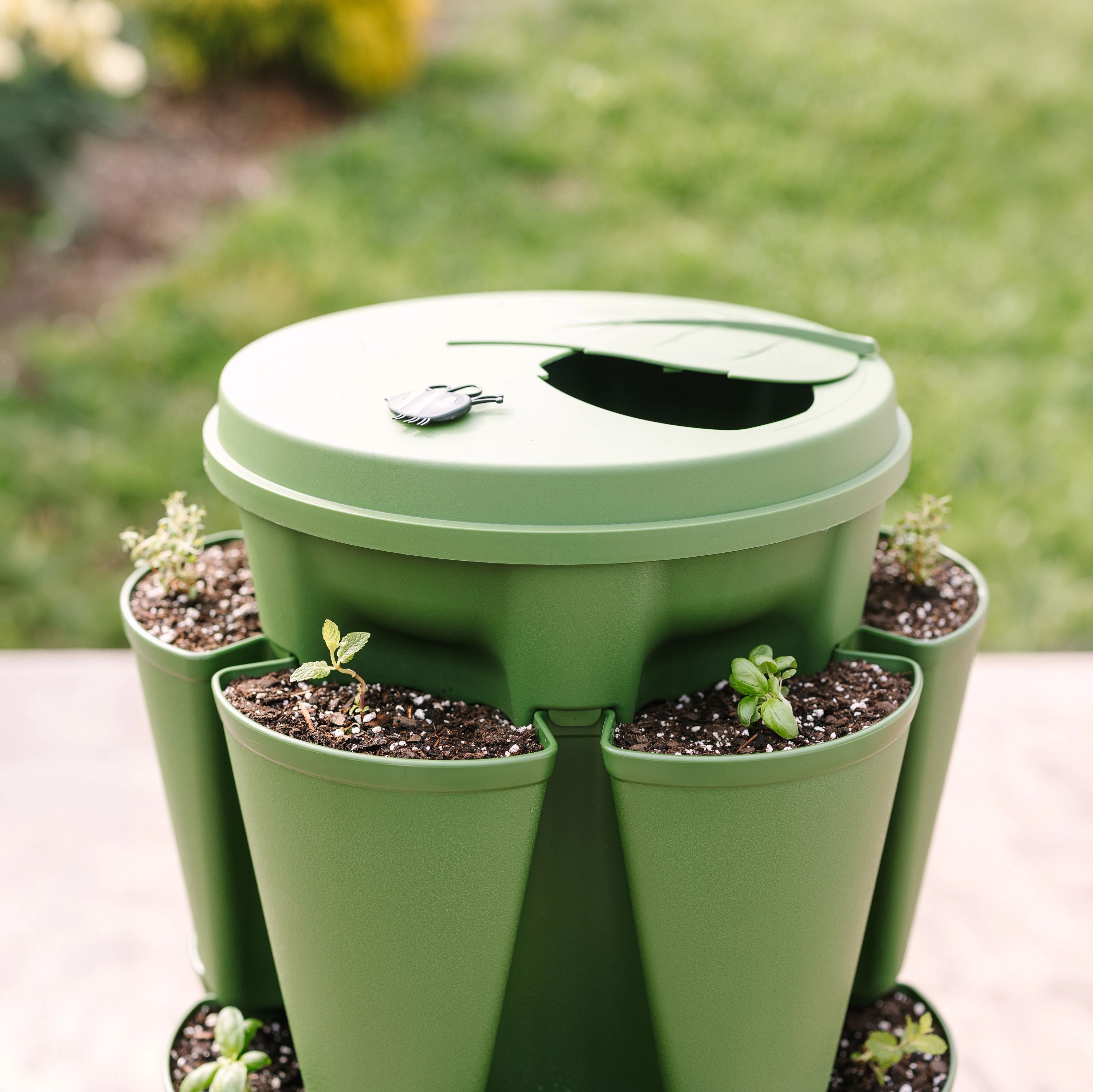 Evergreen Basic All‑In‑One Planter Kit – Bonnie Plants