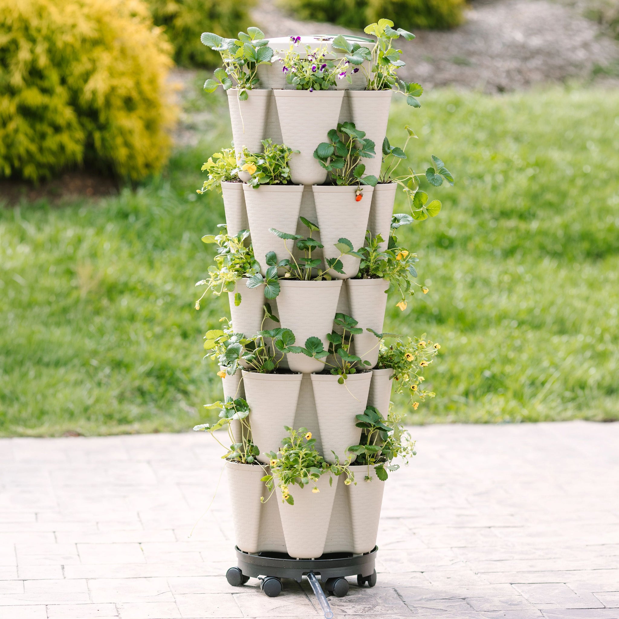 vertical garden plant pots Stunning Stone Basket Weave All‑In‑One Planter Kit – Bonnie Plants