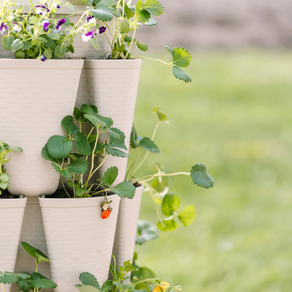 basket planters for indoor plants Stunning Stone Basket Weave All‑In‑One Planter Kit – Bonnie Plants