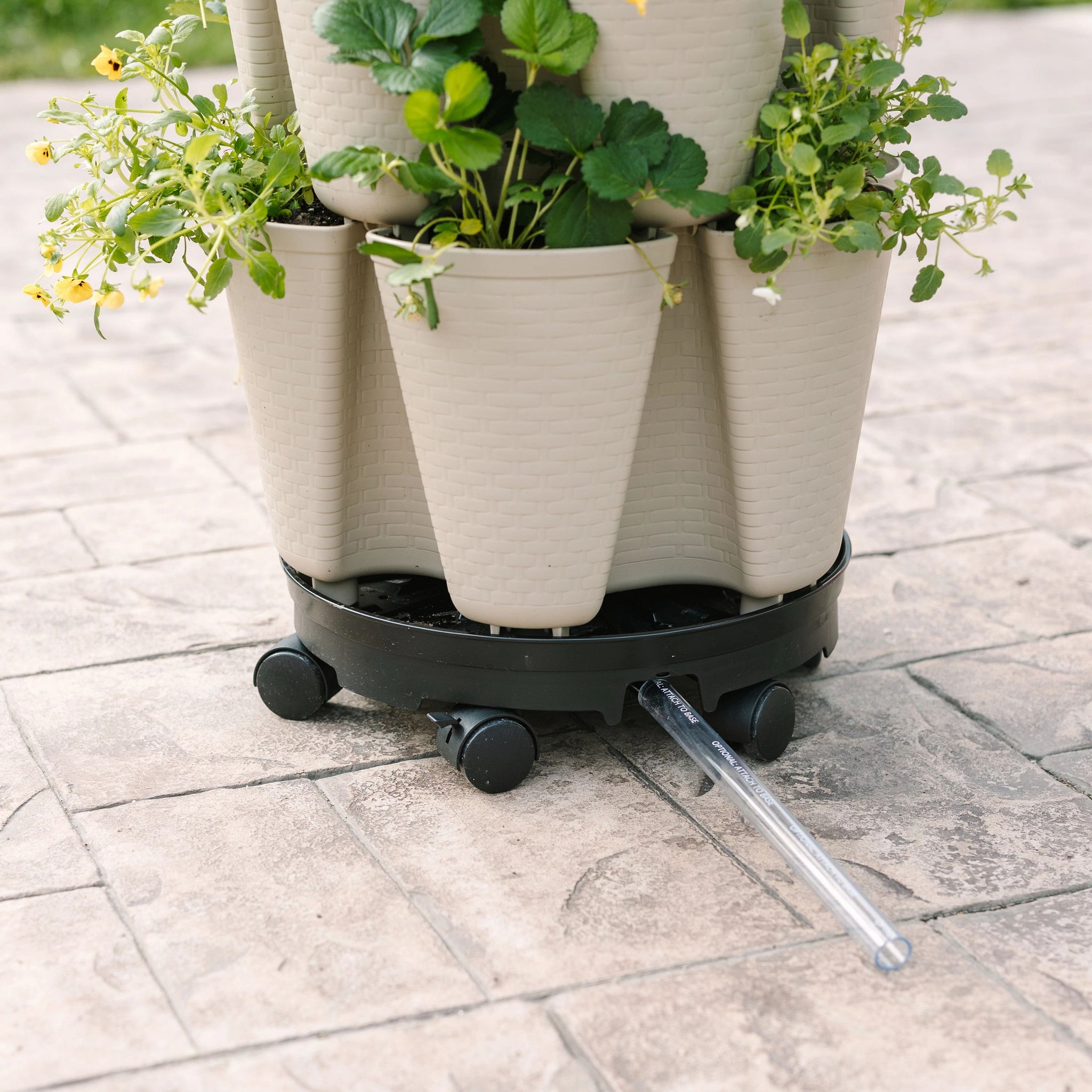 potted plant in basket Stunning Stone Basket Weave All‑In‑One Planter Kit – Bonnie Plants