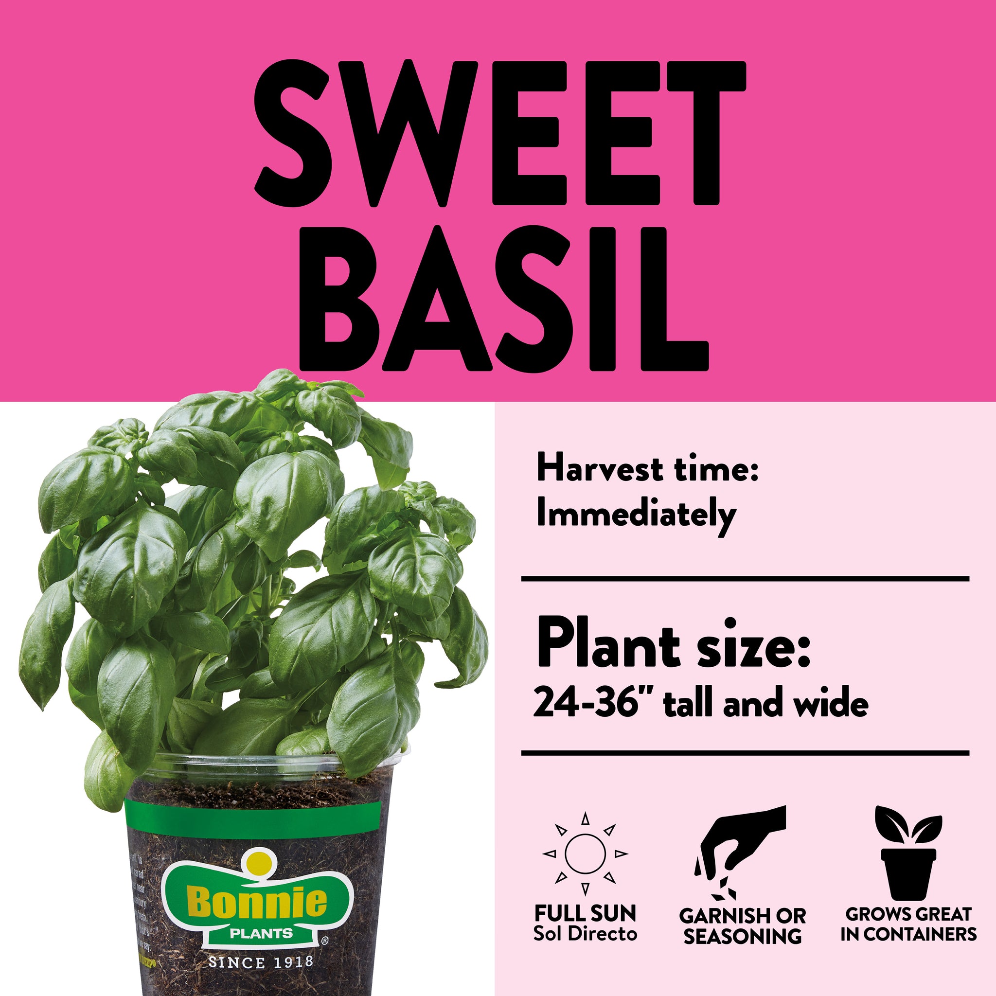 citronella plant seeds walmart 2.32 qt. Sweet Basil – Bonnie Plants