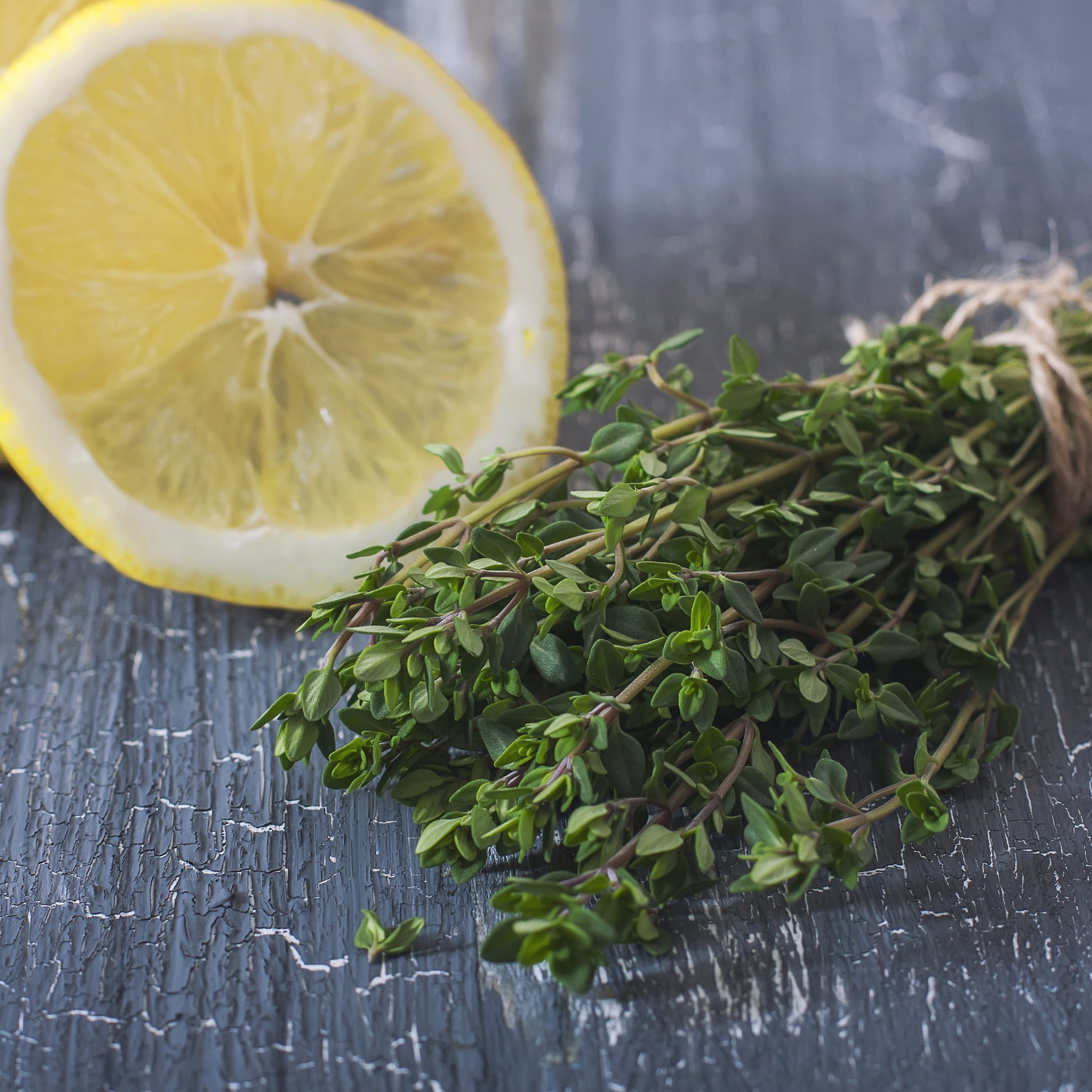 Thyme Plugs (3 Pack)