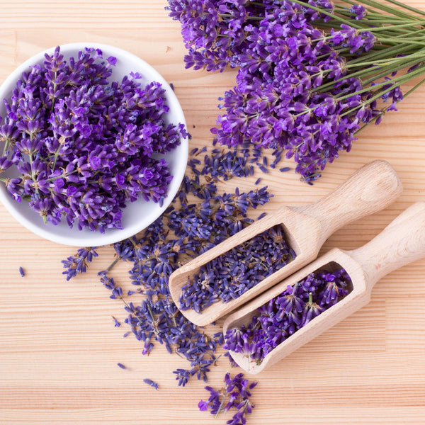 Bonnie lavender (Bonnie Lavender, this plant, aromatic compounds, cooking believe) Bonnie lavender