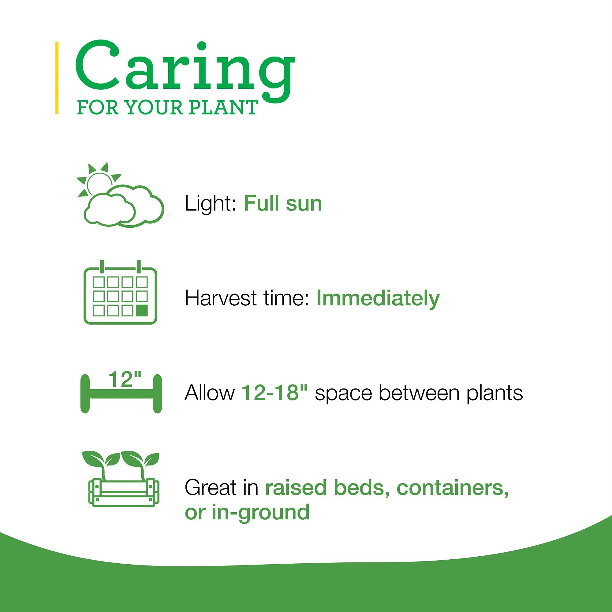 bonnie plants lavender grow kit instructions Lavender