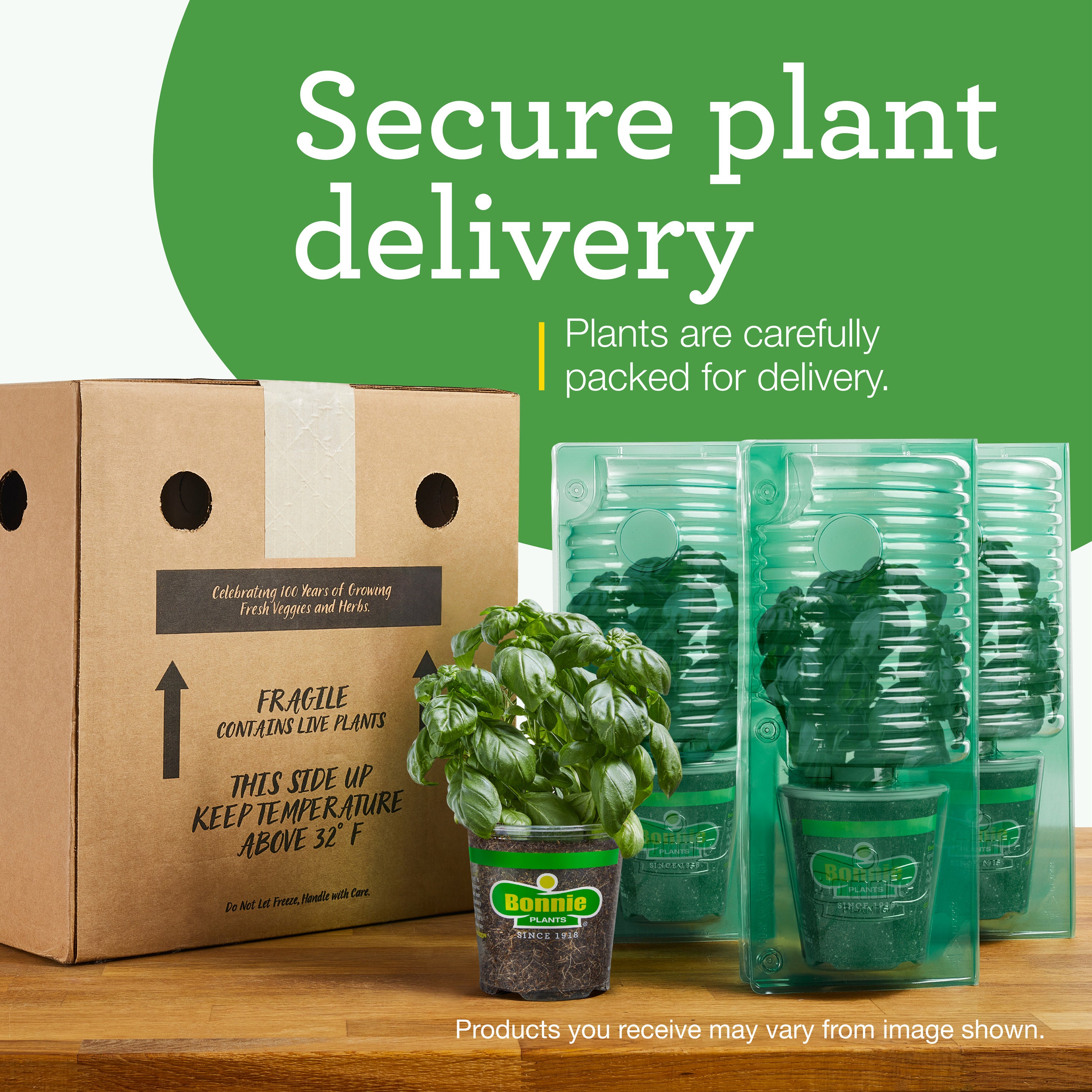 Bonnie Plants® Viola Sorbet XP Spring Mix Edible Flower