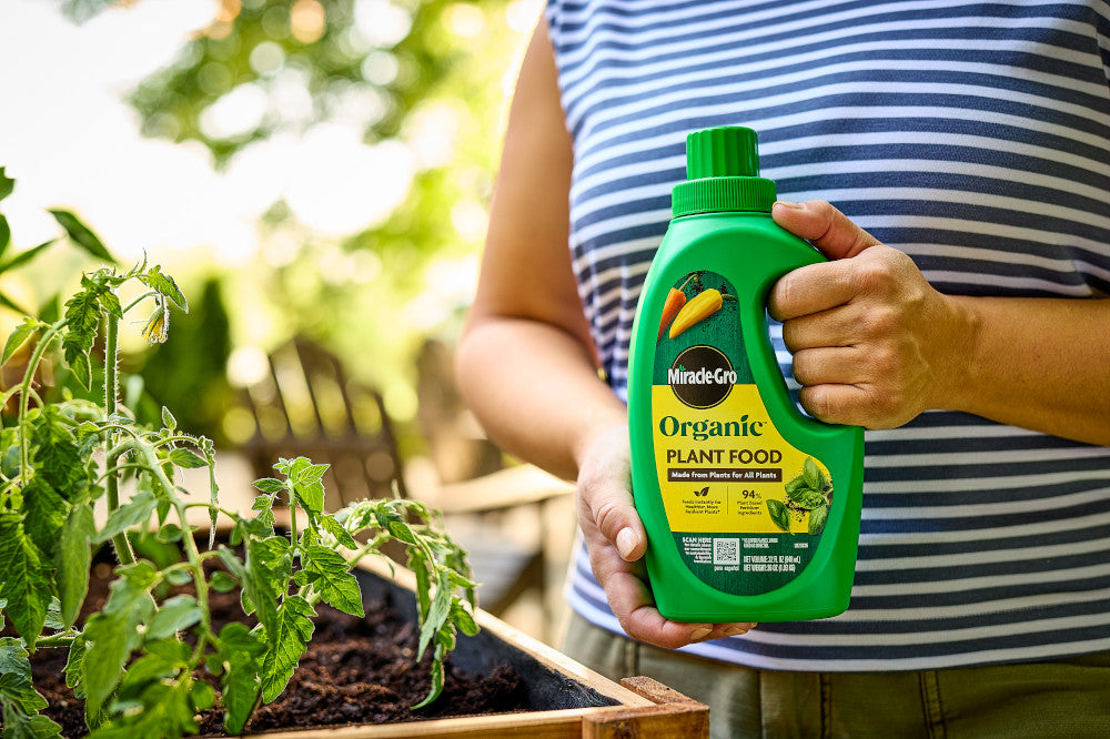 Bonnie plants seeds (Bonnie Plants, this article, provide detailed) Bonnie plants seeds