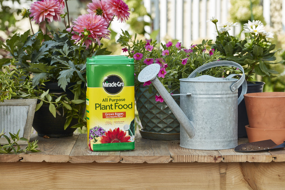 yogurt fertilizer for plants Miracle-Gro® Water Soluble All Purpose Plant Food 5LB – Bonnie Plants