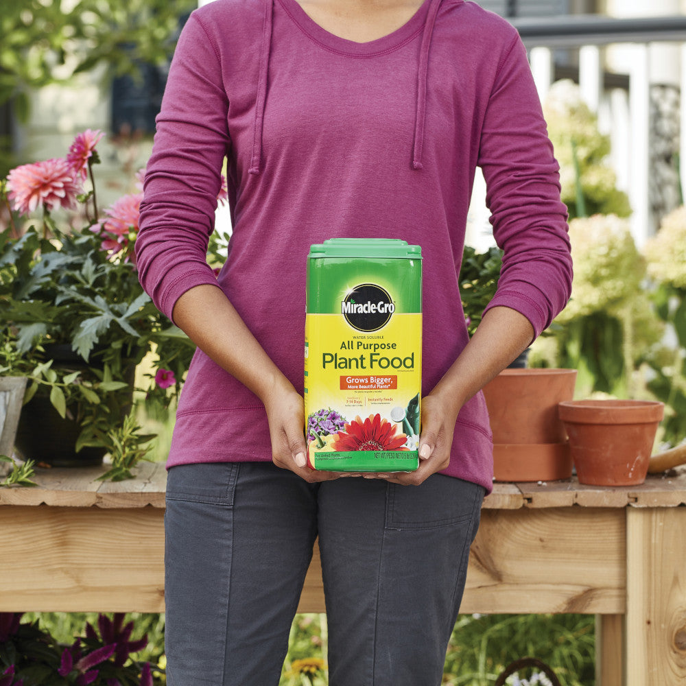 miracle gro plant fertilizer Miracle-Gro® Water Soluble All Purpose Plant Food 5LB