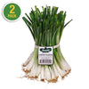 Yellow Granex Onion (2 Pack)