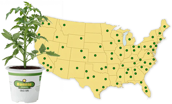 Bonnie plants catalog (Bonnie Plants, provide detailed, provide guide) Bonnie plants catalog