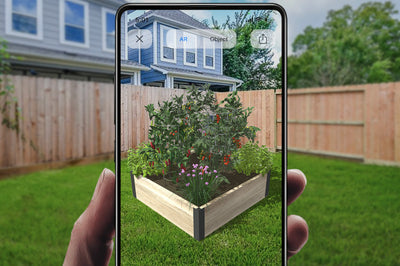 Bonnie Plants - Garden Plants for Your Vegetable Garden or Herb Garden