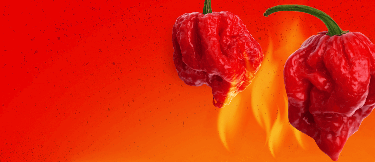 Super Hot Peppers – Bonnie Plants