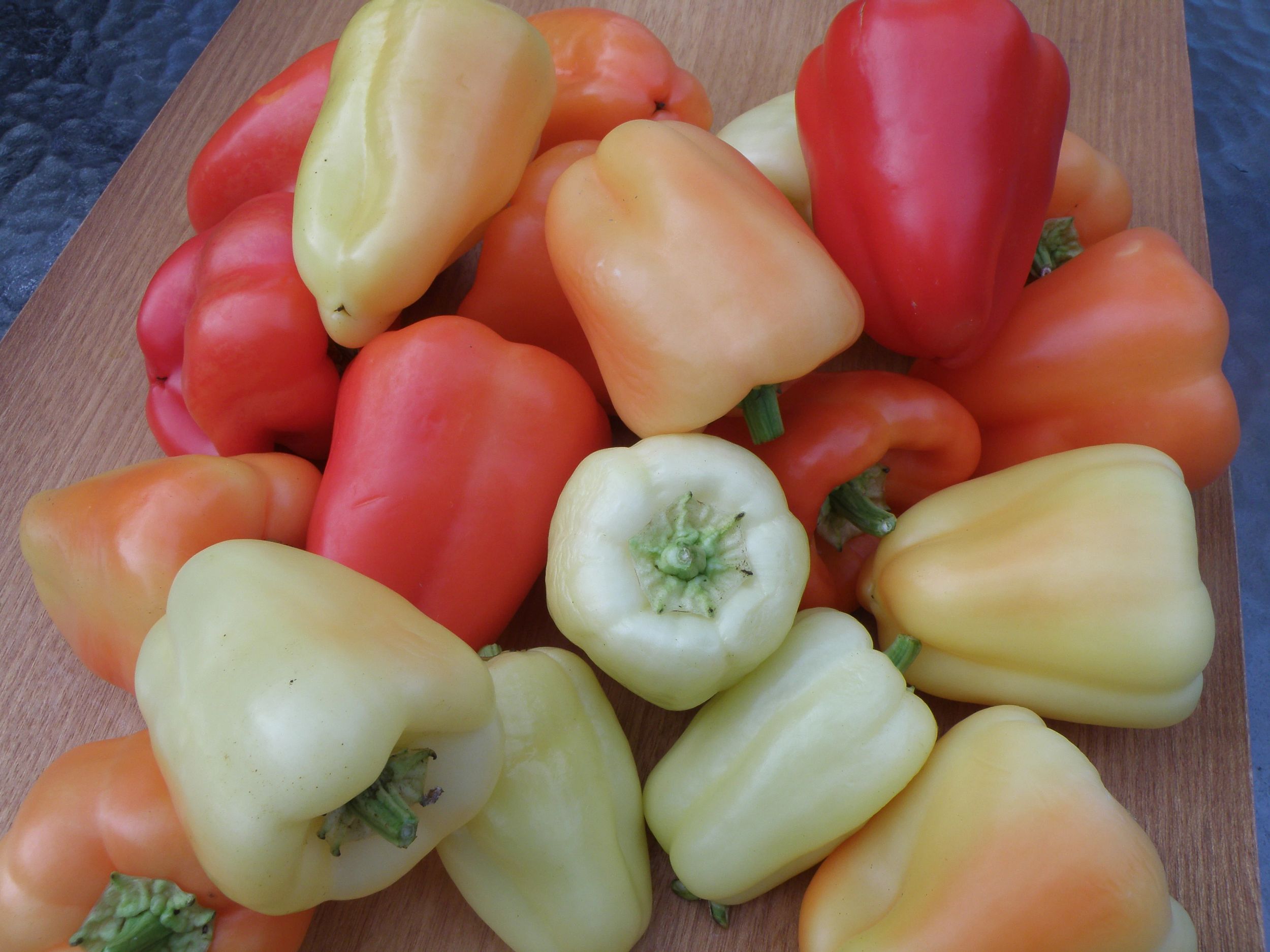 Gypsy Pepper – Bonnie Plants
