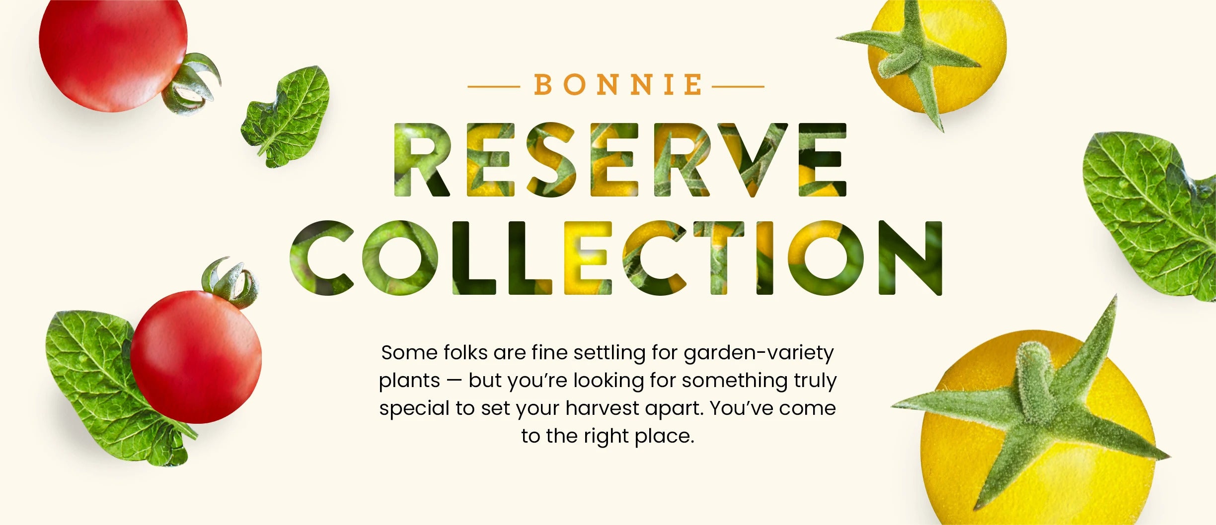 Bonnie Reserve Collection Bonnie Plants