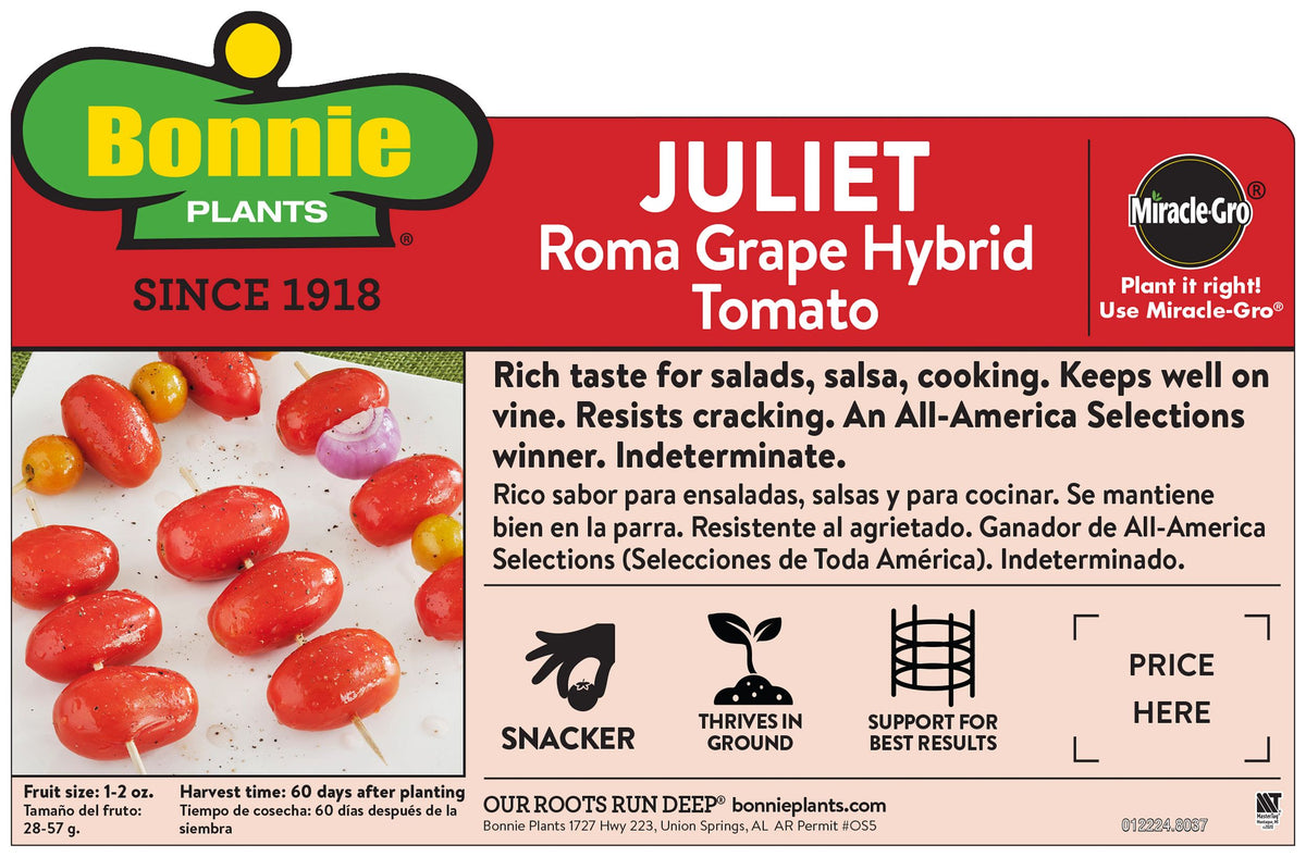Juliet Roma Grape Tomato – Bonnie Plants