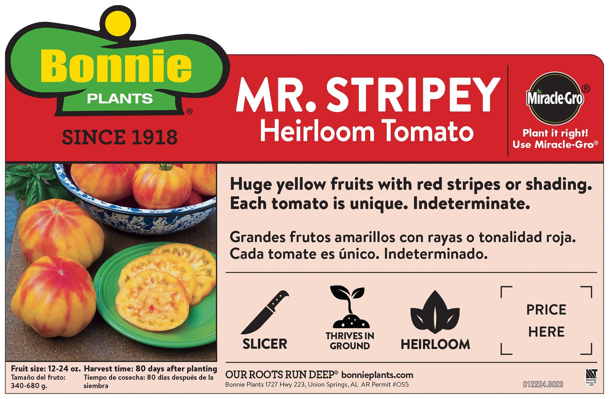 Mr. Stripey Heirloom Tomato – Bonnie Plants