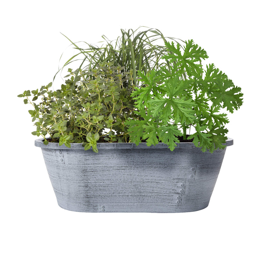 Container Gardening Bonnie Plants