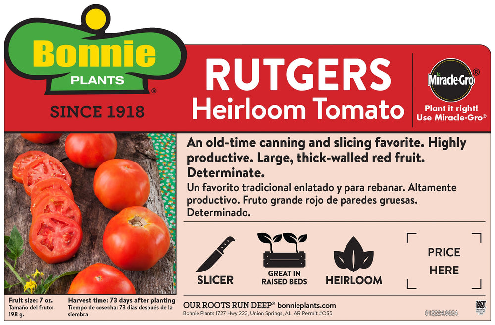 planting heirloom tomato seeds Rutgers Heirloom Tomato