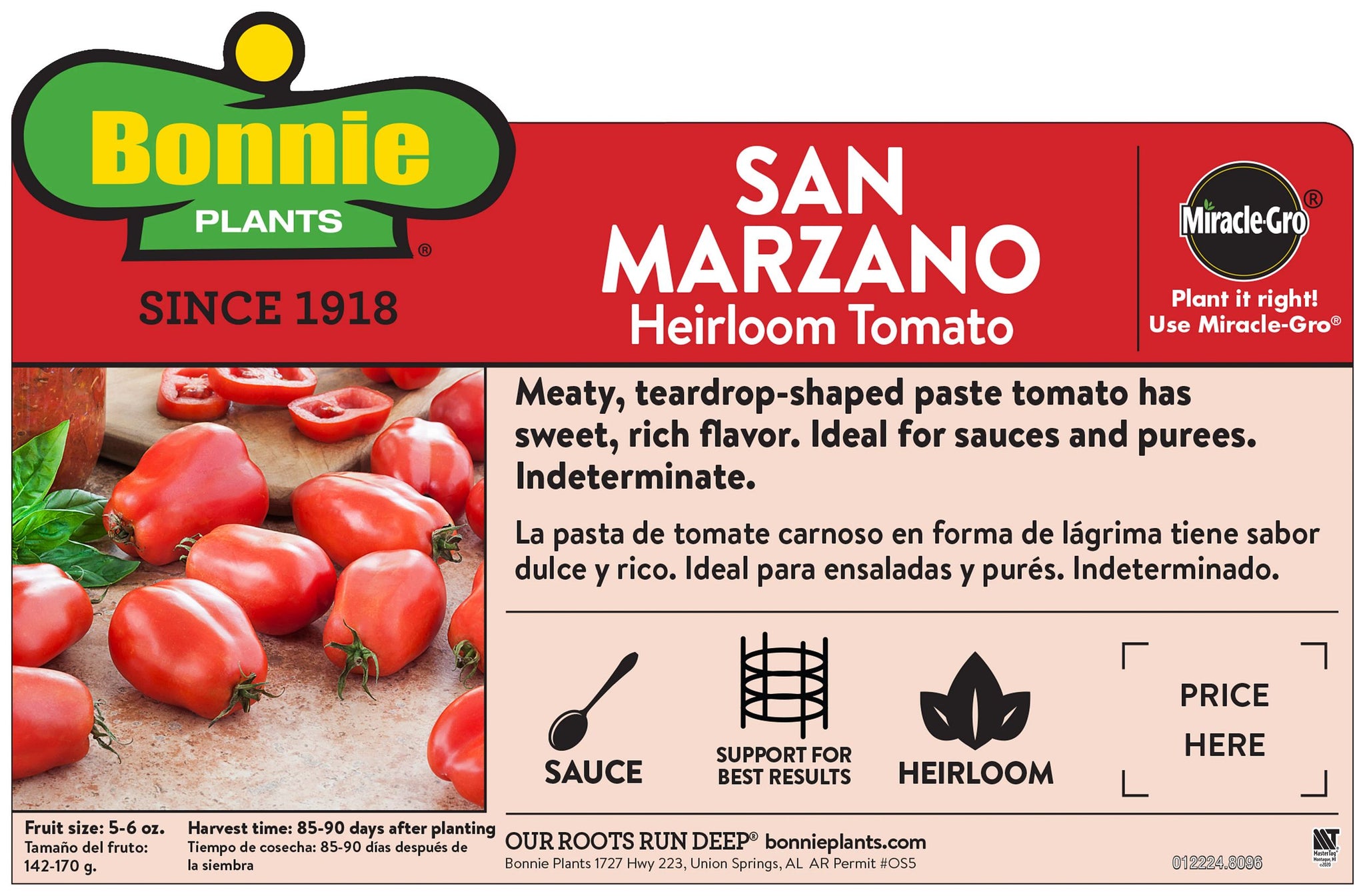 planting san marzano tomato seeds San Marzano Tomato – Bonnie Plants