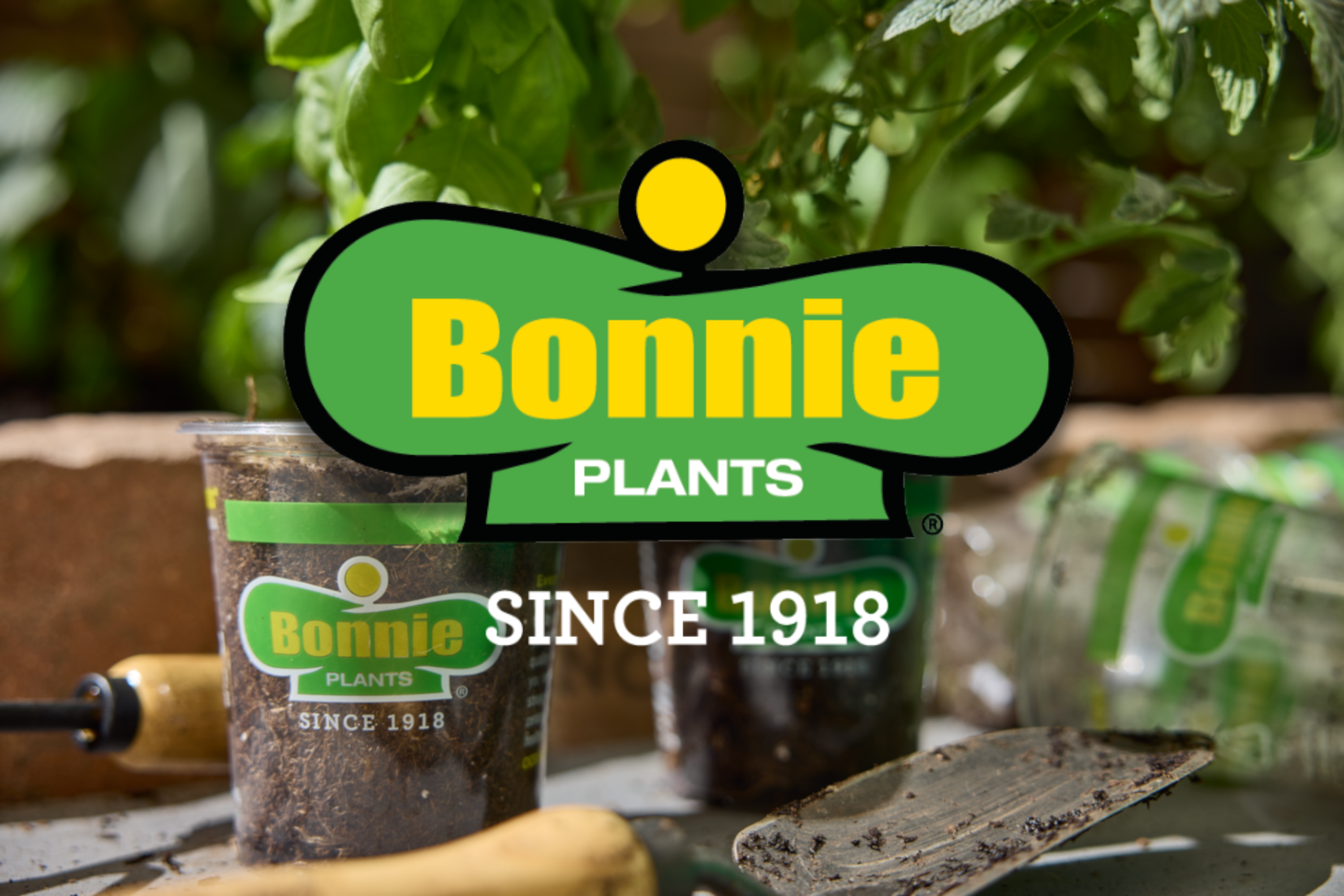 Bonnie Plants - Garden Plants for Your Vegetable Garden or Herb Garden
