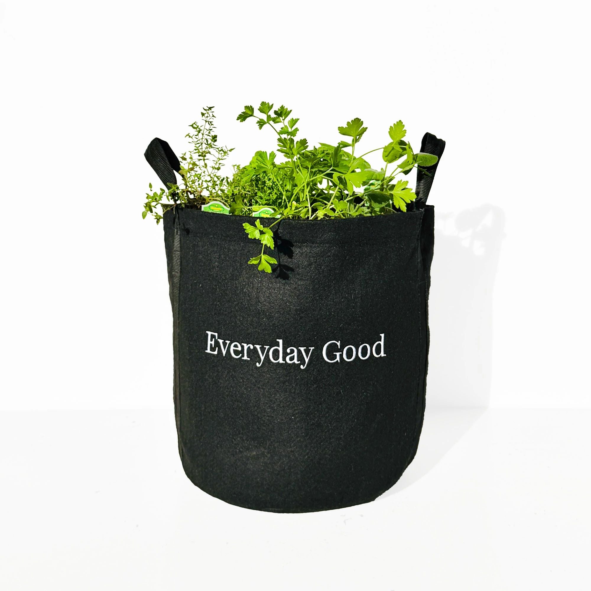 Seasonal Herb Garden Kit for Patio | Everyday Good Garden