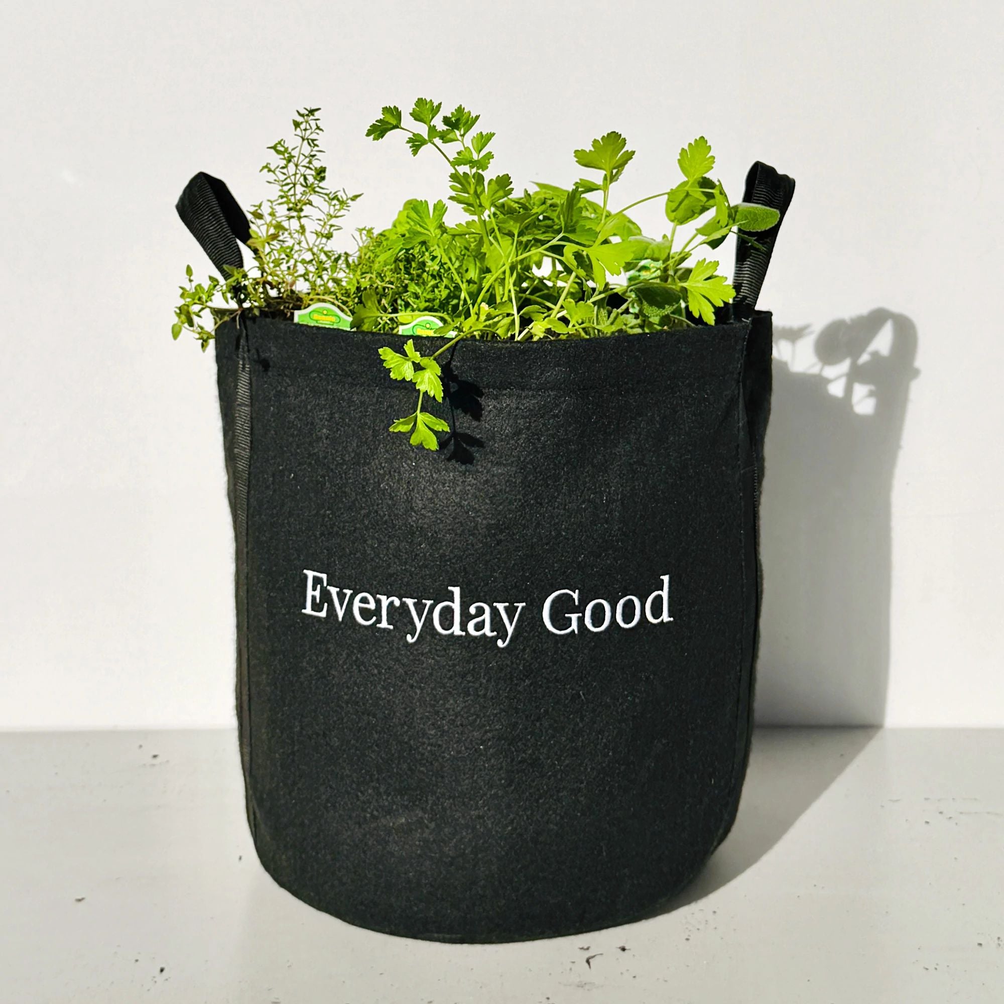 Seasonal Herb Garden Kit for Patio | Everyday Good Garden