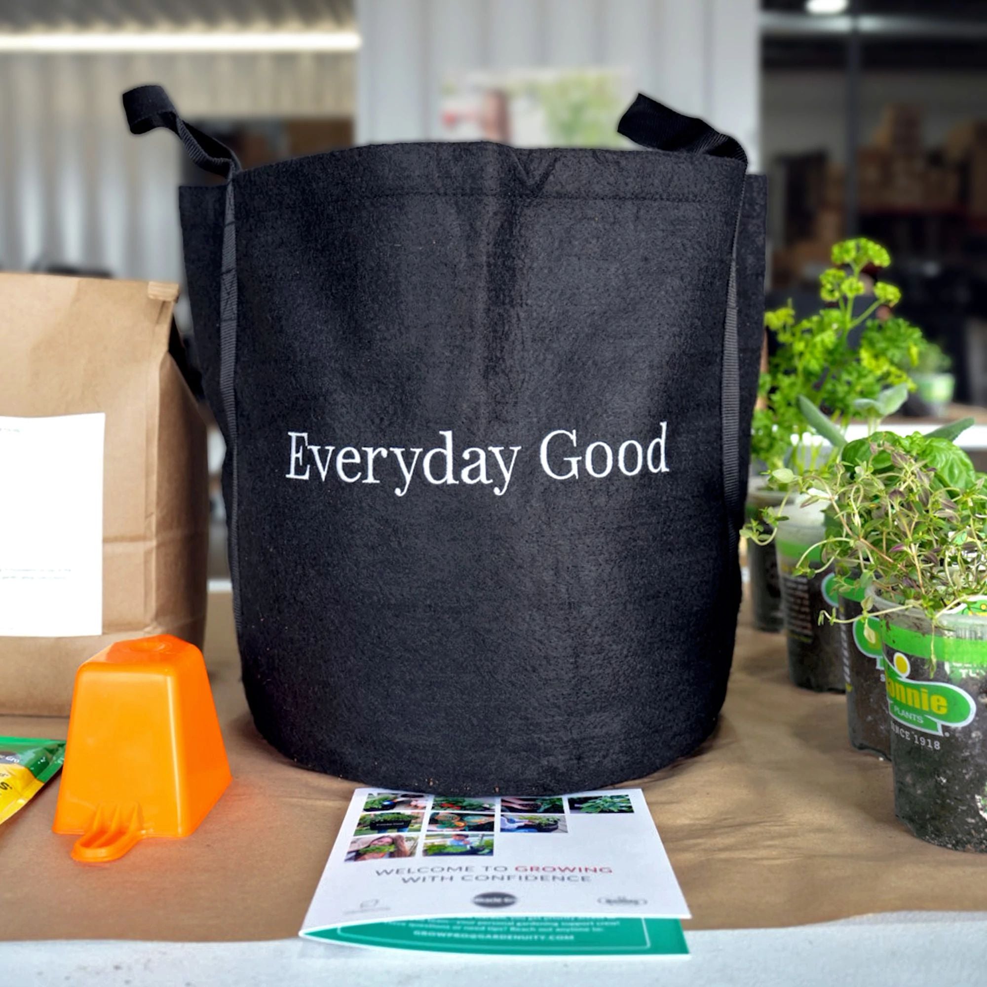 Seasonal Herb Garden Kit for Patio | Everyday Good Garden