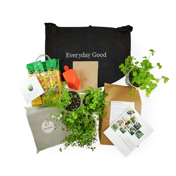 Seasonal Herb Garden Kit for Patio | Everyday Good Garden