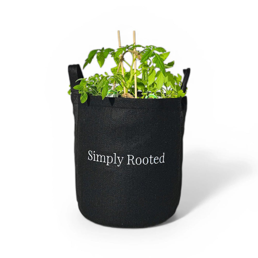 Vegetable and Herb Garden Kit for Patio | Simply Rooted Garden ...