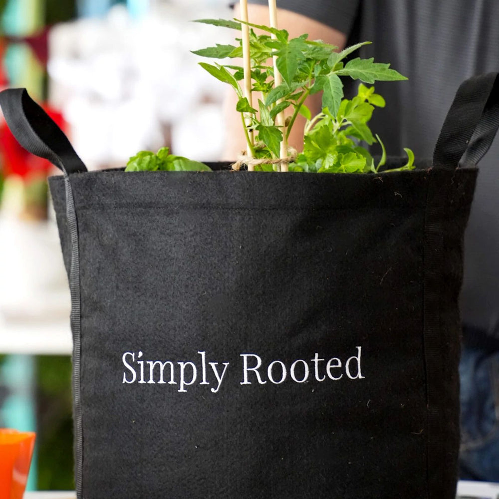 Simply Rooted Vegetable and Herb Garden Kit for Patio | Simply Rooted Garden ...
