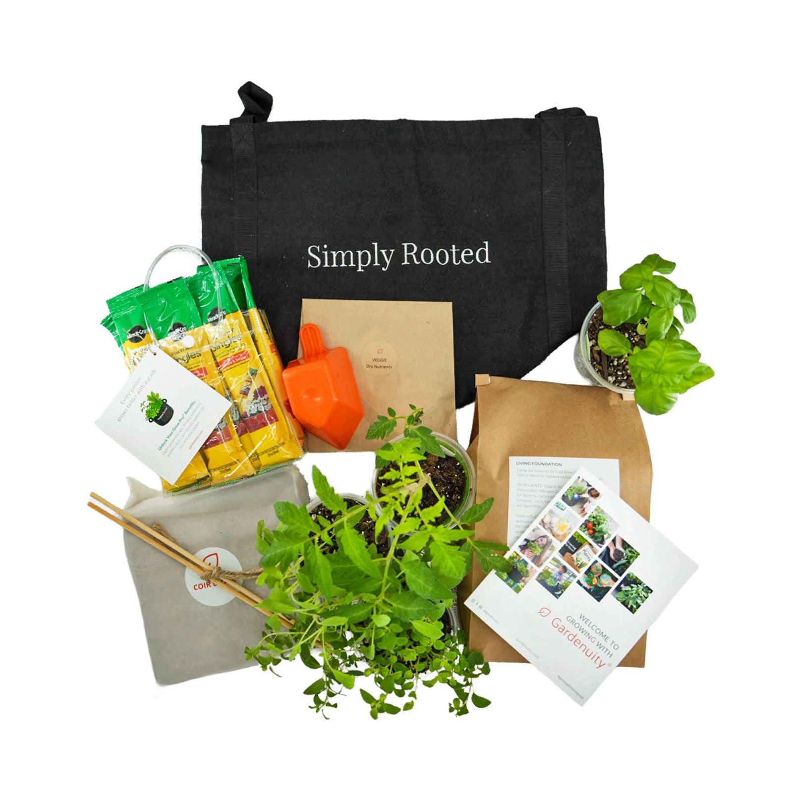 Vegetable and Herb Garden Kit for Patio