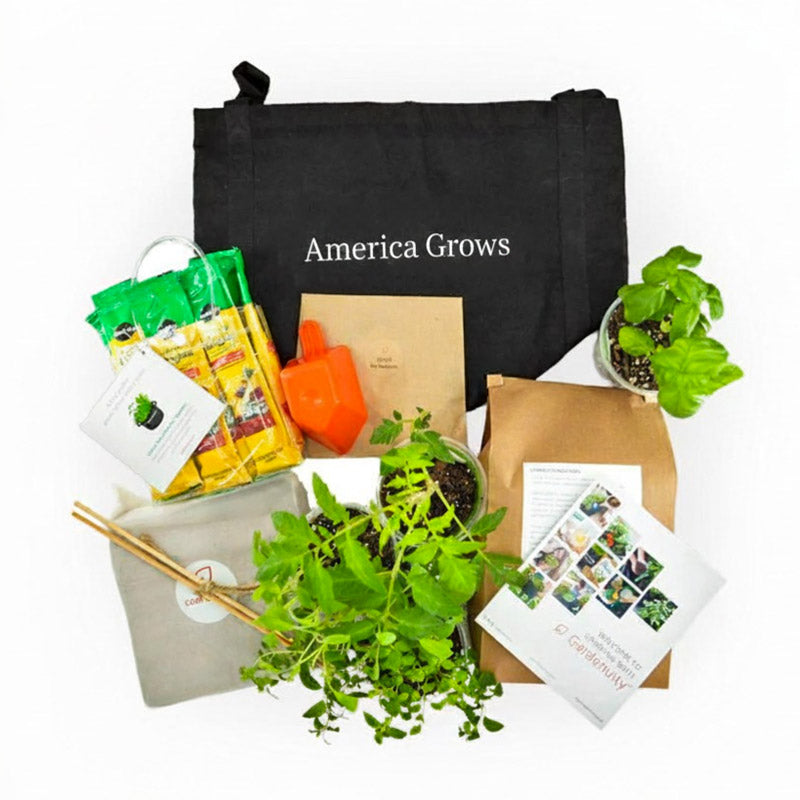 growing plants in paper bags A250 Gardening Kit – Bonnie Plants