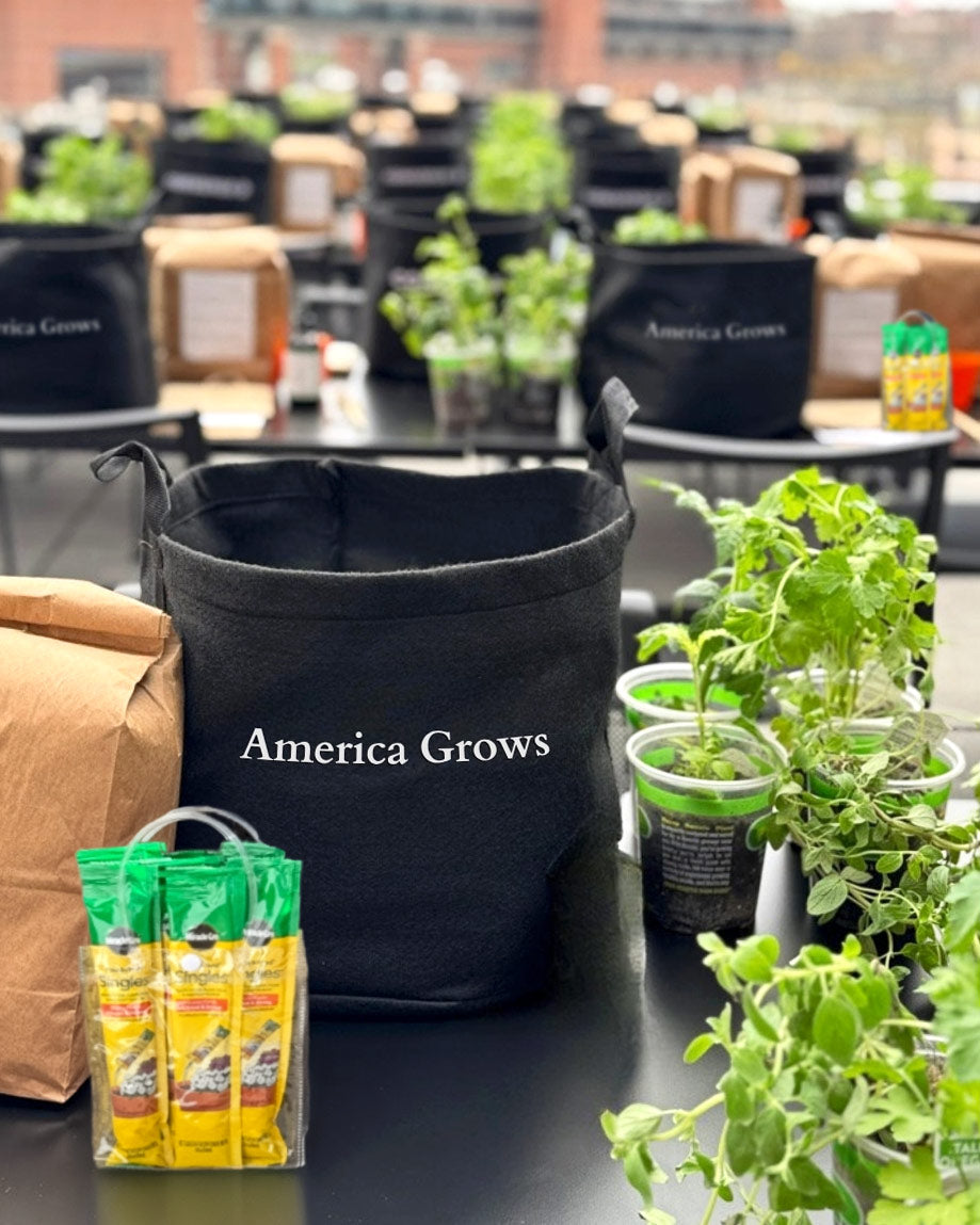 pepper plants in grow bags A250 Gardening Kit – Bonnie Plants