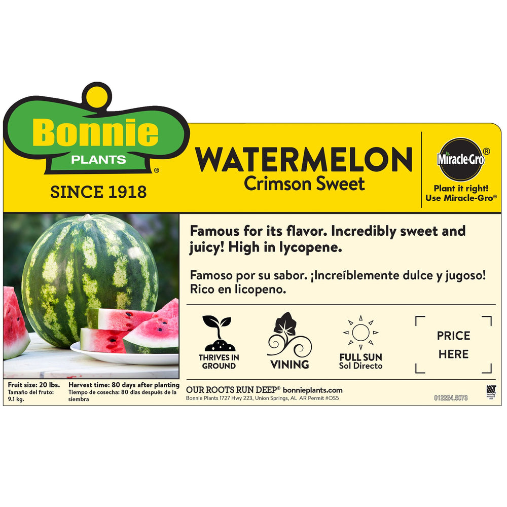 Crimson Sweet Watermelon