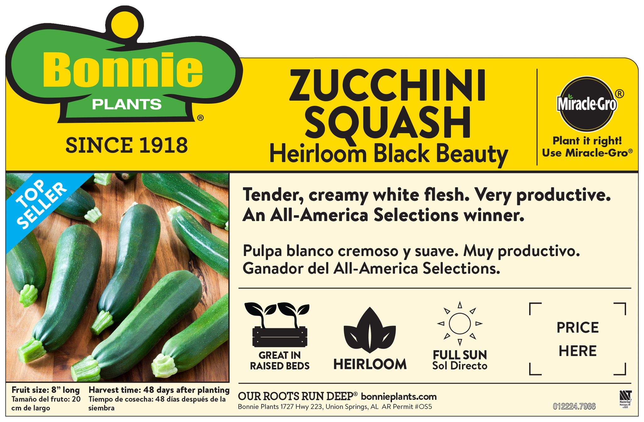 Black Beauty Zucchini (In Store Only)