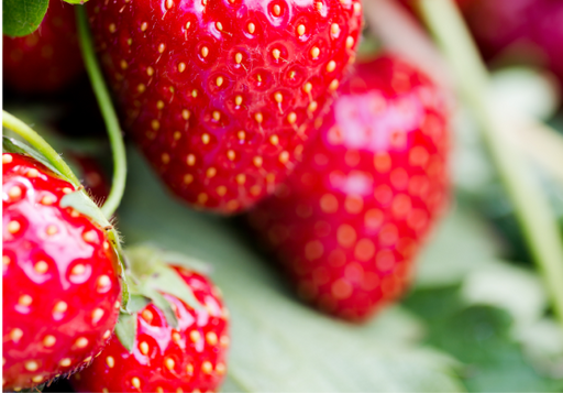 Fresh strawberries labeled 'Shop Fruits'.