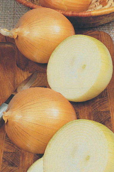 Candy Onion (2 Pack)