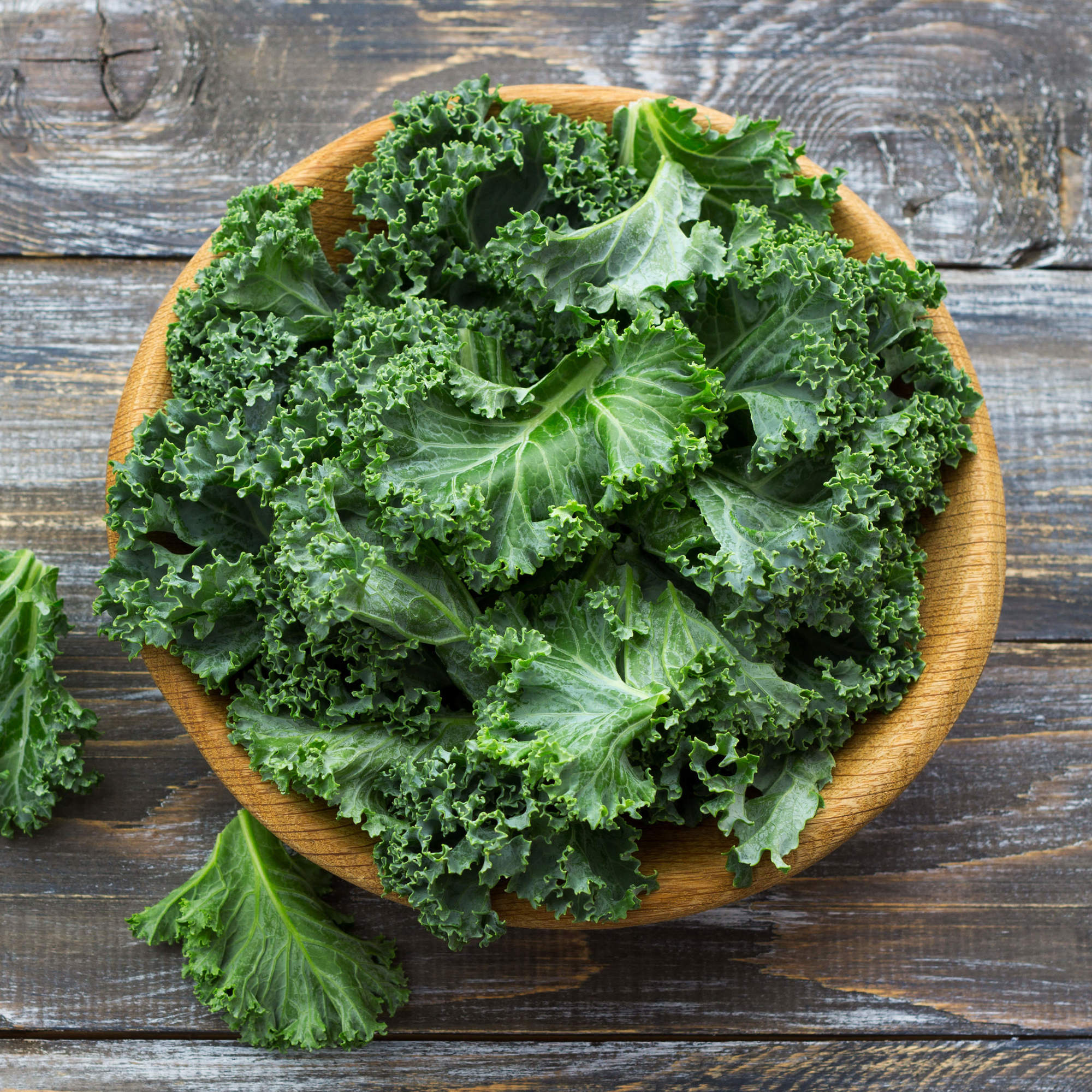 Curly Kale (2 Pack)