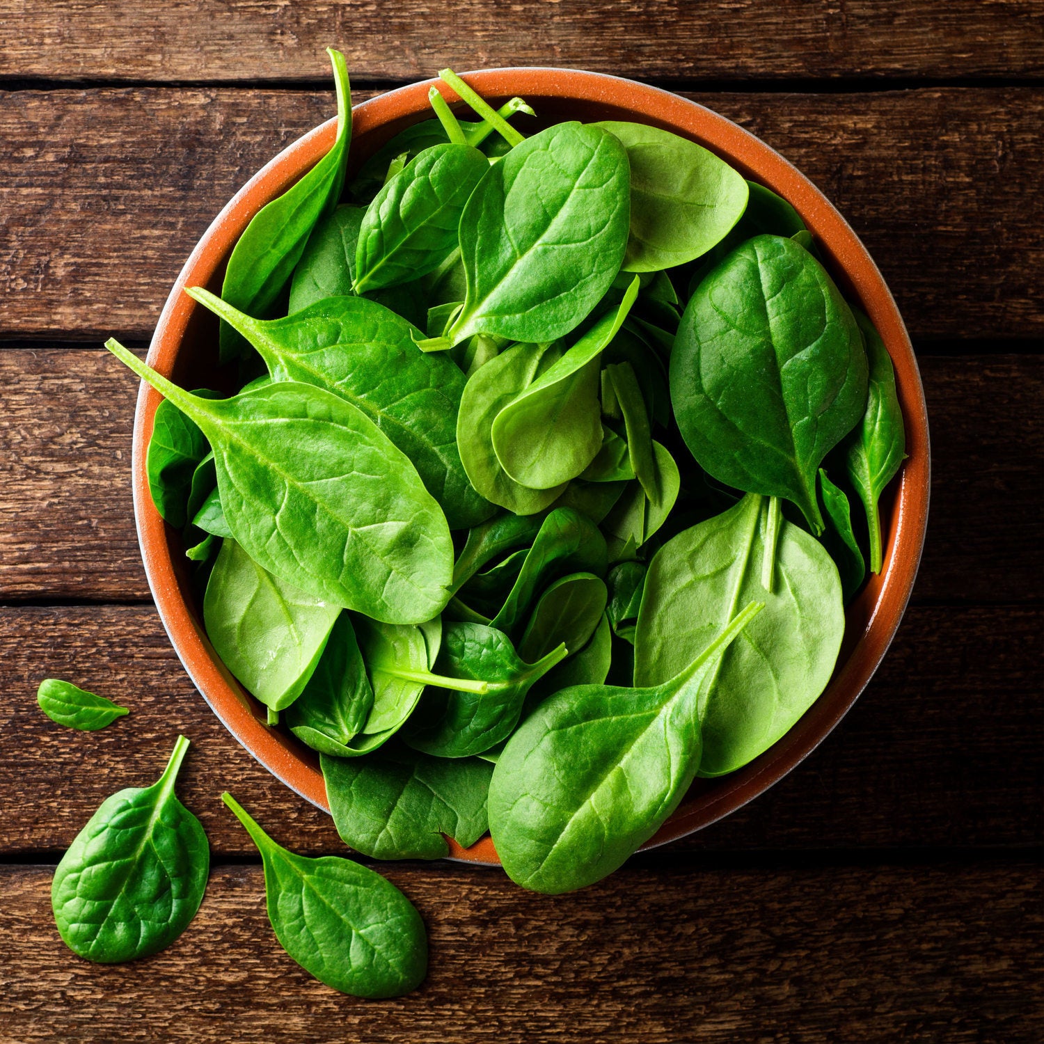 Spinach (2 Pack) Bonnie Plants