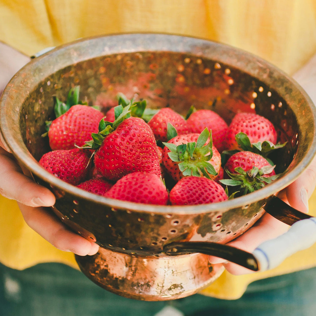 Strawberries (2 Pack) Bonnie Plants