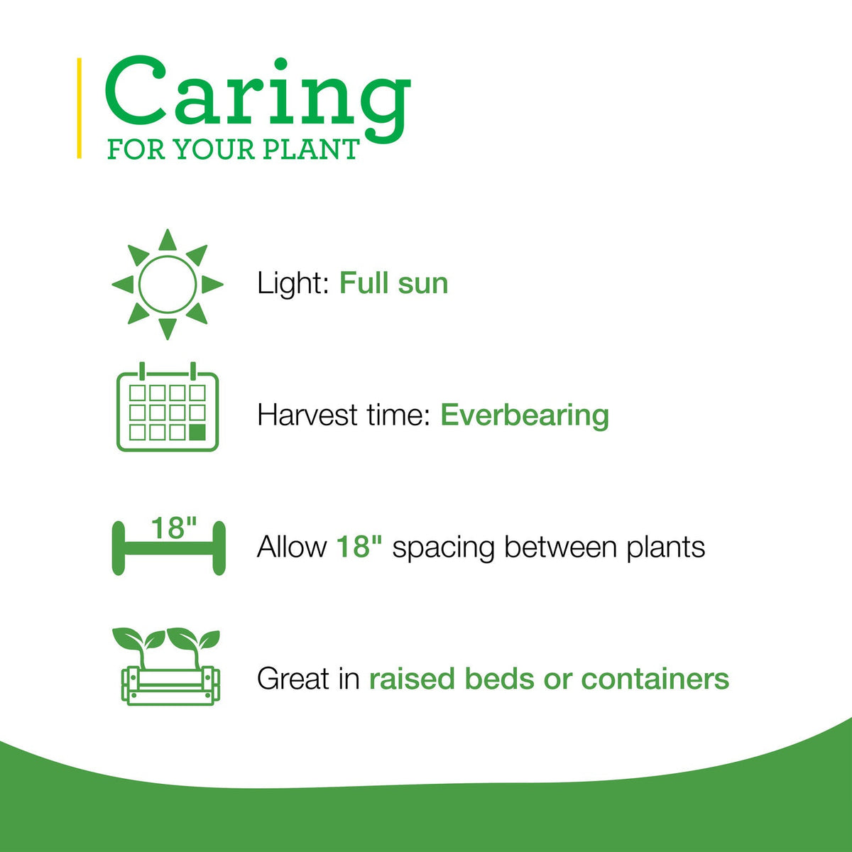 Strawberries (2 Pack) Bonnie Plants