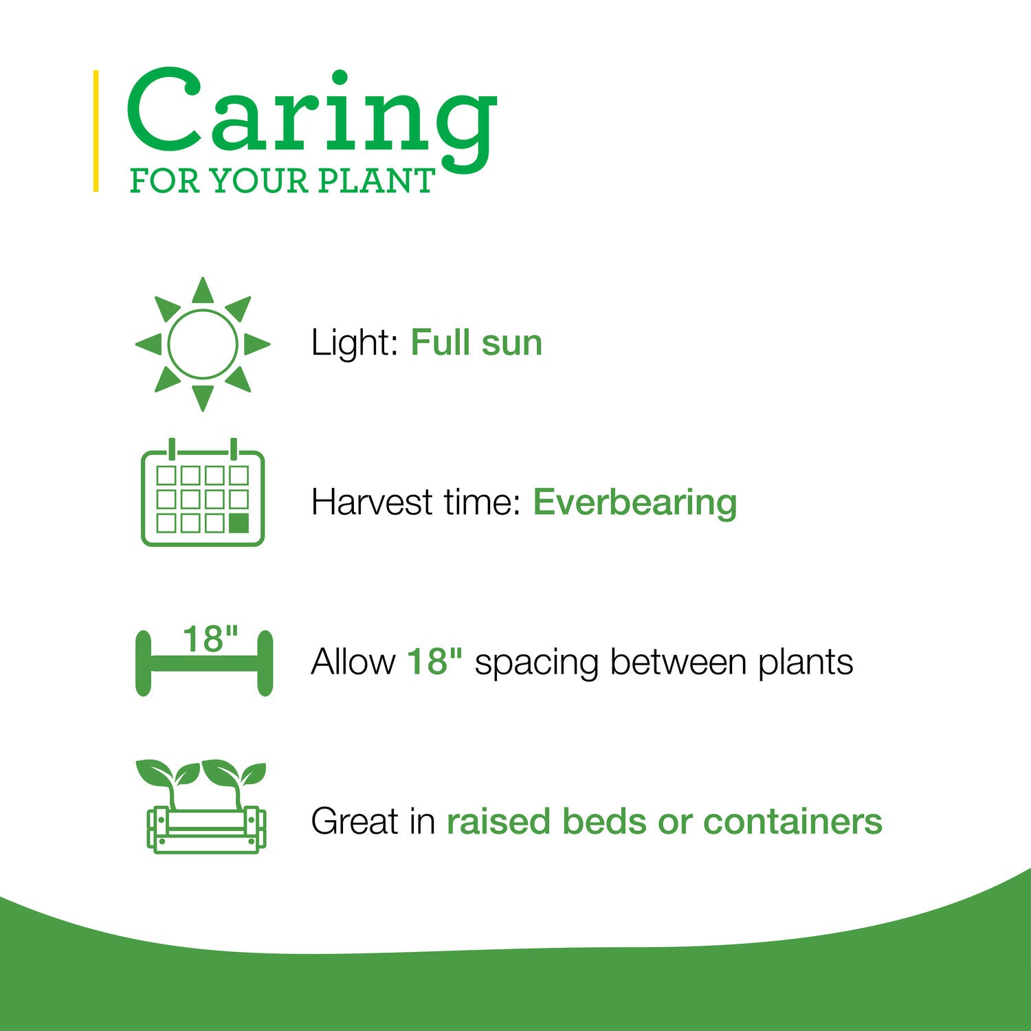 Strawberries (2 Pack) Bonnie Plants