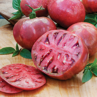 Brandy Wine Pink TOMATO - 25 Seeds Tasmanian Grown Organic Heirloom Tomatoes